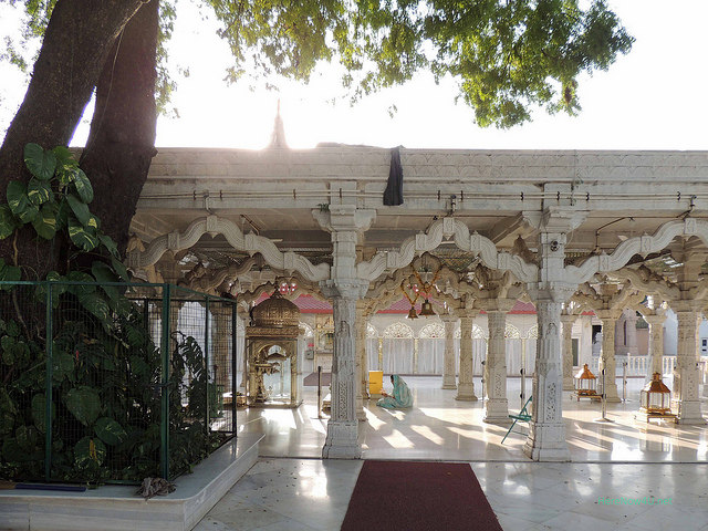 2014.09.18 Mehrauli Dadabari Jain Temple N5443