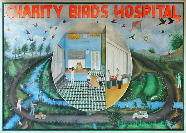 Delhi  Charity Birds Hospital 01147 X